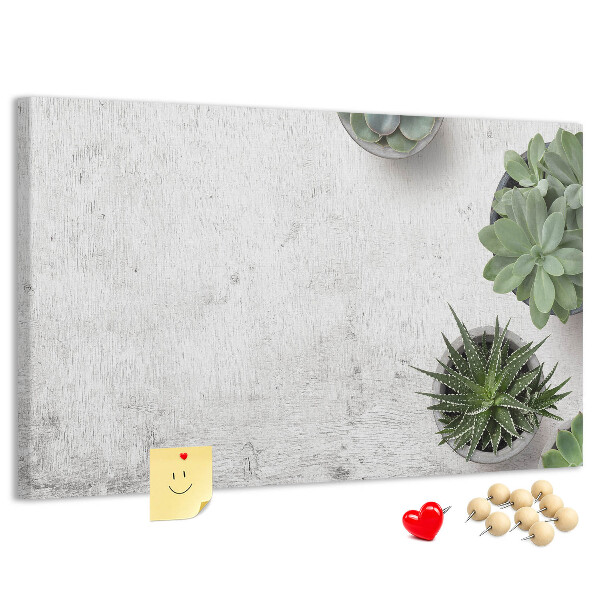 Parafatábla falra Cserepes növények szürke háttéren