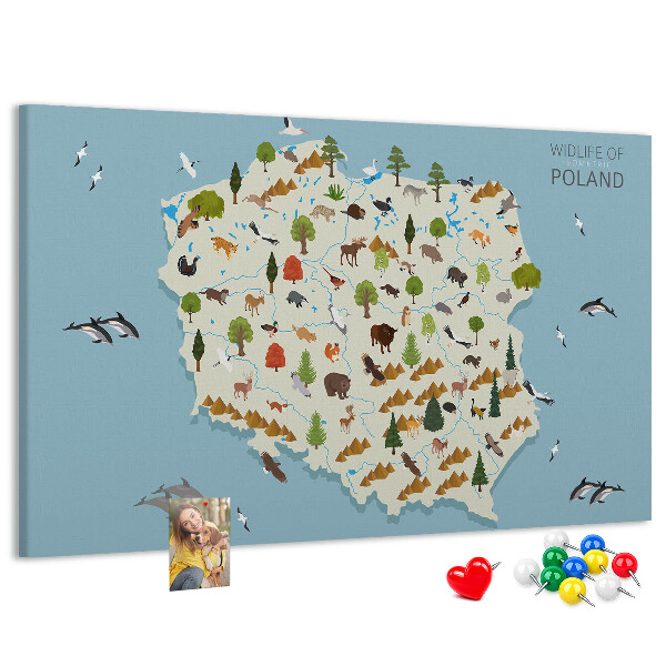 Parafatábla falra Lengyel fauna egy színes térképen