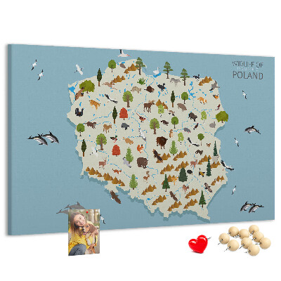 Parafatábla falra Lengyel fauna egy színes térképen
