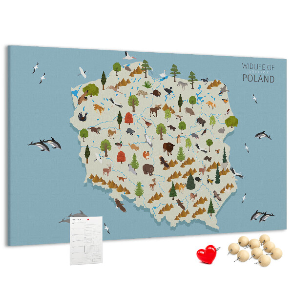 Parafatábla falra Lengyel fauna egy színes térképen