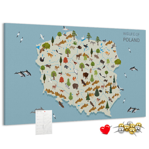 Parafatábla falra Lengyel fauna egy színes térképen