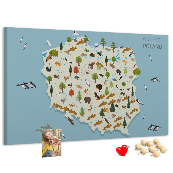 Parafatábla falra Lengyel fauna egy színes térképen