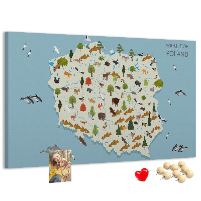 Parafatábla falra Lengyel fauna egy színes térképen