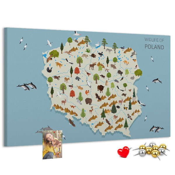 Parafatábla falra Lengyel fauna egy színes térképen