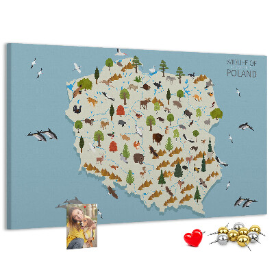 Parafatábla falra Lengyel fauna egy színes térképen