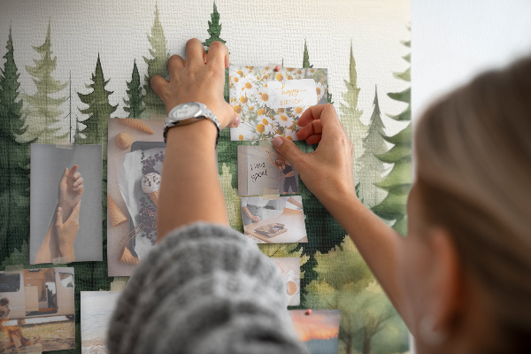 Színes parafatábla Erdő táj zöld fákkal