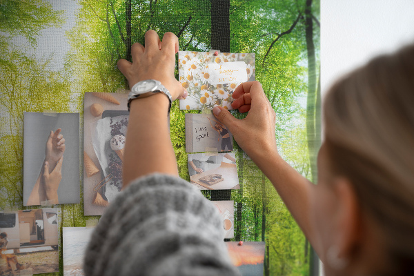 Parafatábla falra Zöld erdő napsugarakkal