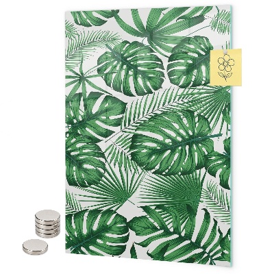 Mágneses falitábla Trópusi monstera levelek