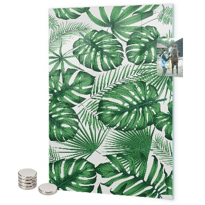 Mágneses falitábla Trópusi monstera levelek