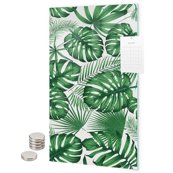 Mágneses falitábla Trópusi monstera levelek