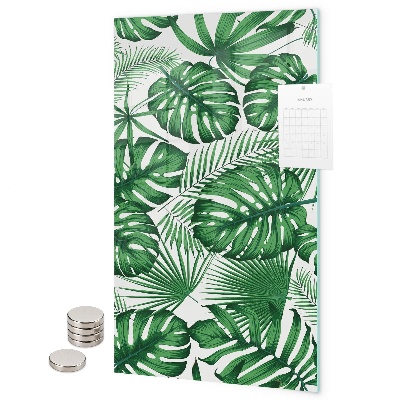 Mágneses falitábla Trópusi monstera levelek
