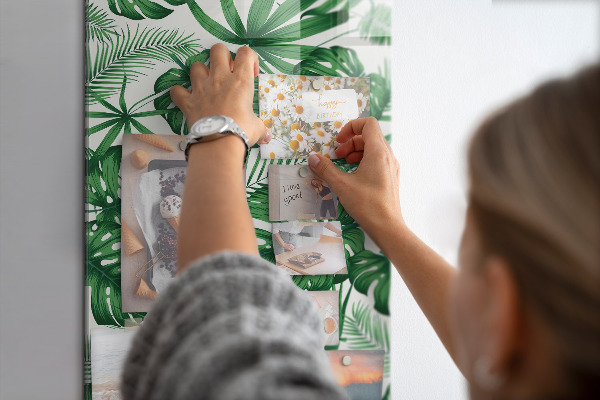 Mágneses falitábla Trópusi monstera levelek