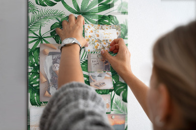 Mágneses falitábla Trópusi monstera levelek