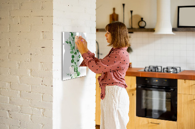 Mágneses felíró tábla Zöld motívum fotóknak szánt hellyel