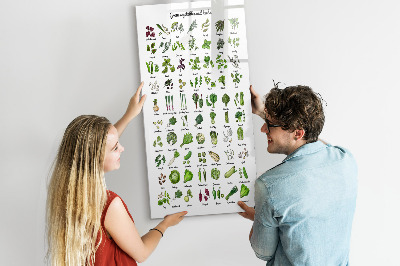 Mágneses felíró tábla Zöld zöldségek és fűszernövények grafikákon