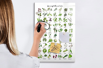 Mágneses felíró tábla Zöld zöldségek és fűszernövények grafikákon