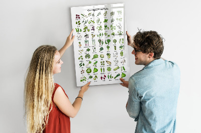 Mágneses felíró tábla Zöld zöldségek és fűszernövények grafikákon