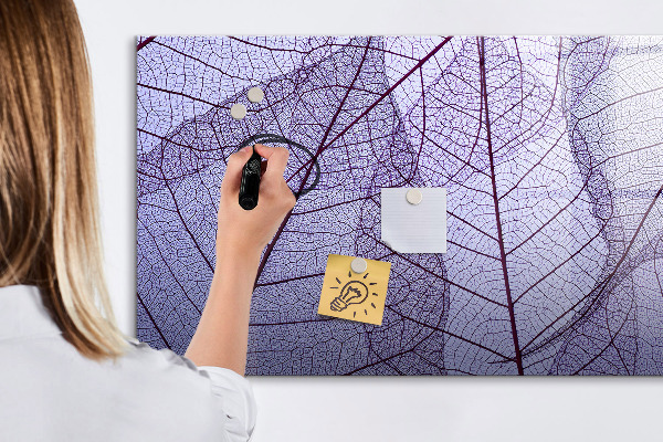 Mágneses felíró tábla Kreatív fotókiállító tábla