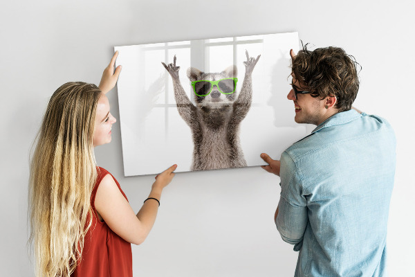 Törölhető mágneses tábla Boldog mosómedve képekkel