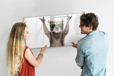 Törölhető mágneses tábla Boldog mosómedve képekkel