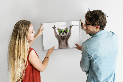 Törölhető mágneses tábla Boldog mosómedve képekkel
