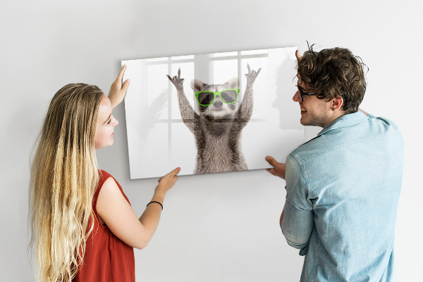 Törölhető mágneses tábla Boldog mosómedve képekkel