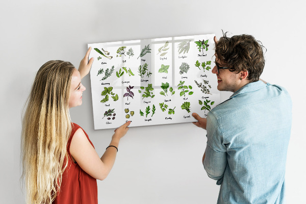 Törölhető mágneses tábla Gyógynövények és fotók egy helyen
