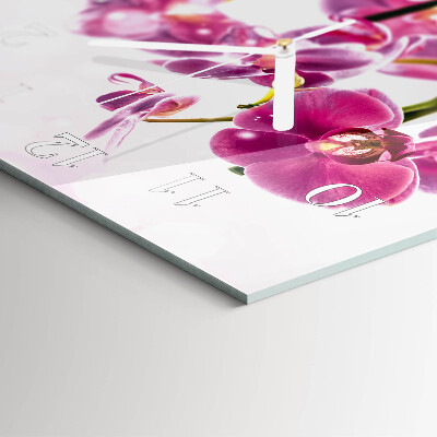 Szögletes fali üvegóra Orchidea