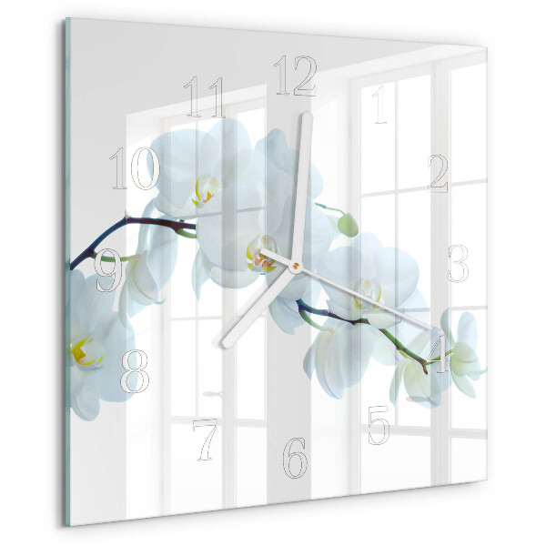 Szögletes fali üvegóra Orchidea