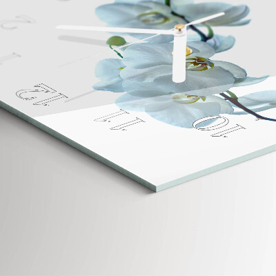Szögletes fali üvegóra Orchidea