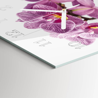 Szögletes fali üvegóra Orchideák