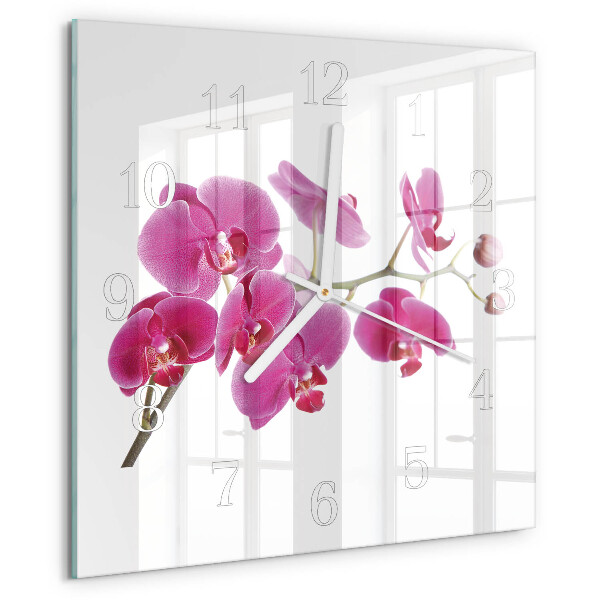 Szögletes fali üvegóra Orchidea