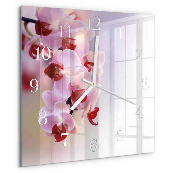 Szögletes fali üvegóra Orchidea