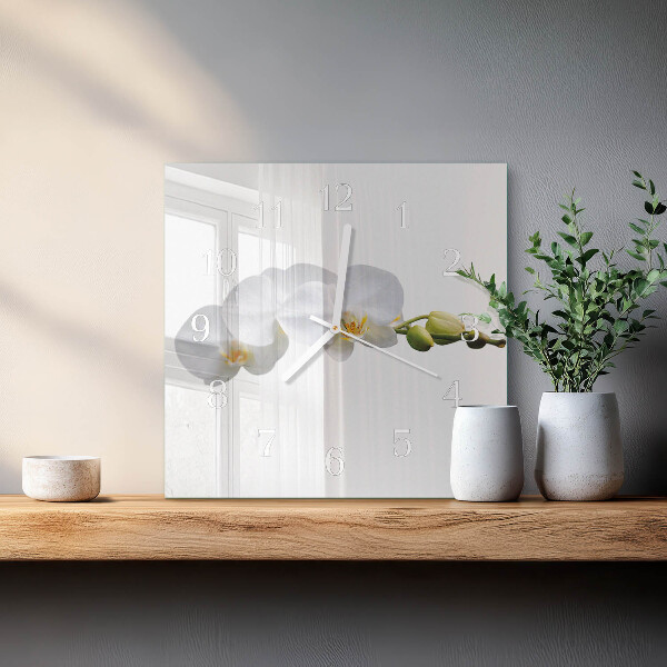 Szögletes fali üvegóra Orchidea
