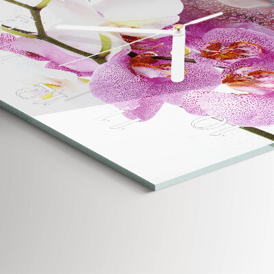Szögletes fali üvegóra Orchidea