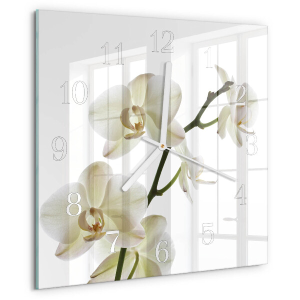 Szögletes fali üvegóra Orchidea