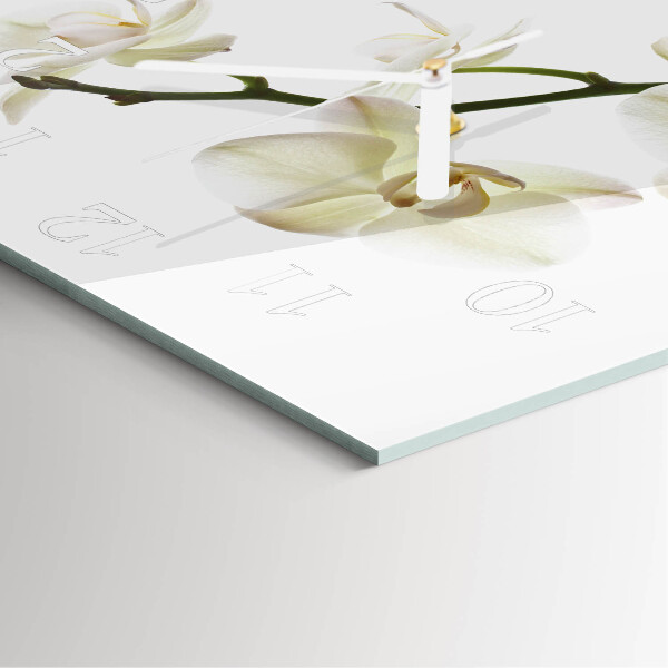 Szögletes fali üvegóra Orchidea