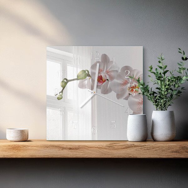 Szögletes fali üvegóra Orchidea