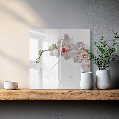 Szögletes fali üvegóra Orchidea