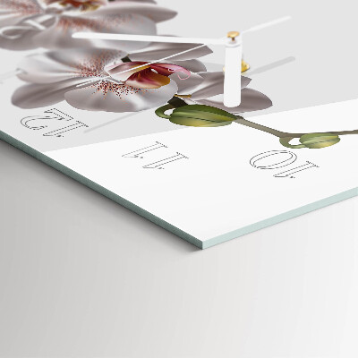 Szögletes fali üvegóra Orchidea