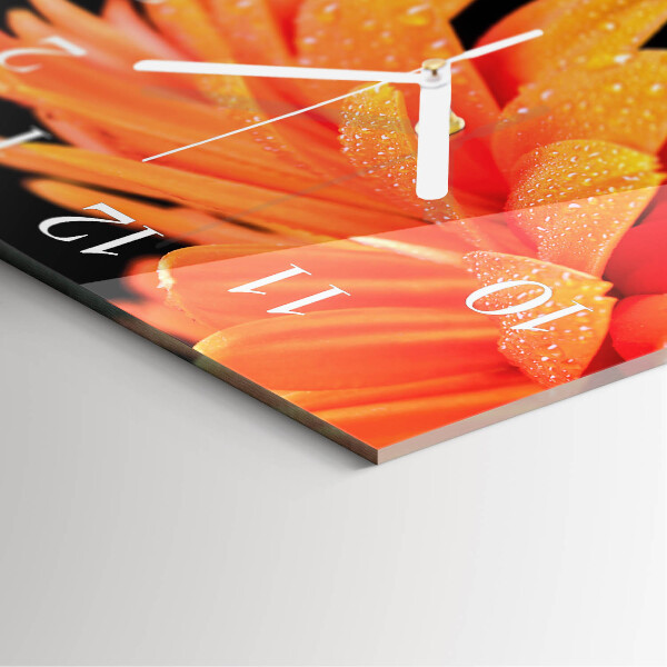 Szögletes fali üvegóra Gerbera