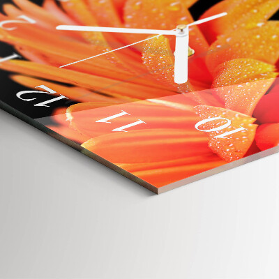 Szögletes fali üvegóra Gerbera