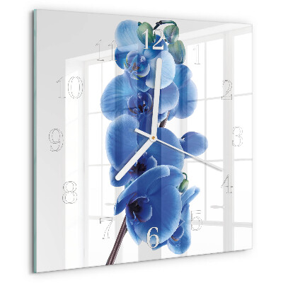 Szögletes fali üvegóra Orchidea