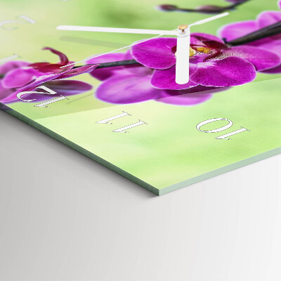 Szögletes fali üvegóra Orchidea