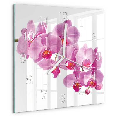 Szögletes fali üvegóra Orchidea