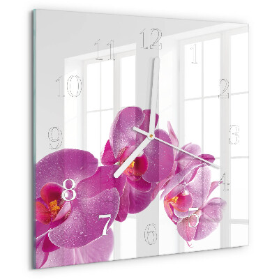 Szögletes fali üvegóra Orchidea