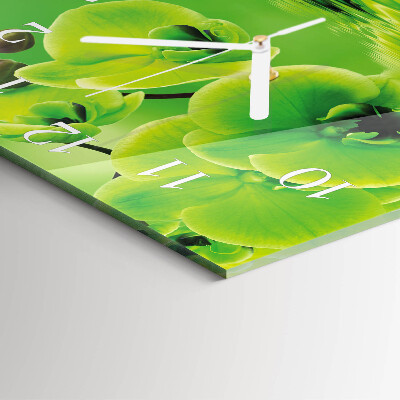 Szögletes fali üvegóra Orchidea