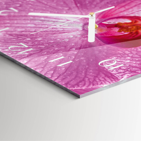 Szögletes fali üvegóra Orchidea