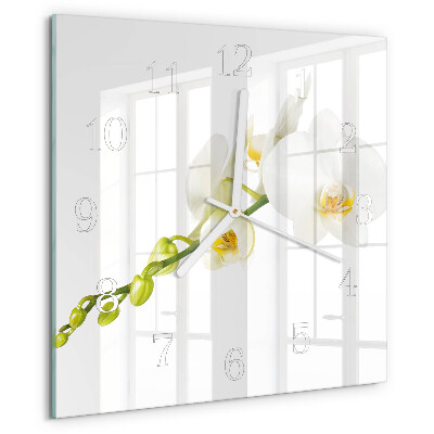 Szögletes fali üvegóra Orchidea