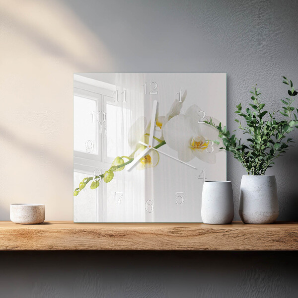 Szögletes fali üvegóra Orchidea